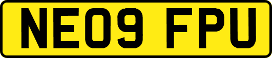 NE09FPU