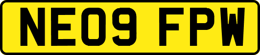 NE09FPW