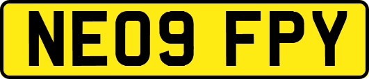 NE09FPY