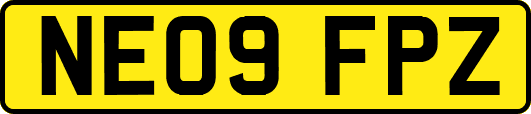 NE09FPZ