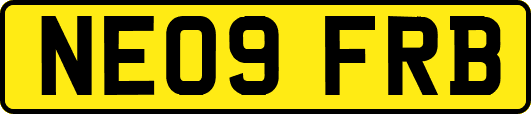NE09FRB