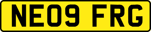 NE09FRG