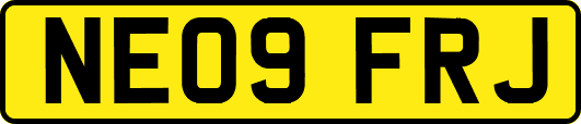 NE09FRJ