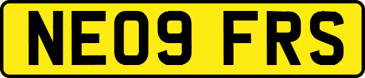 NE09FRS