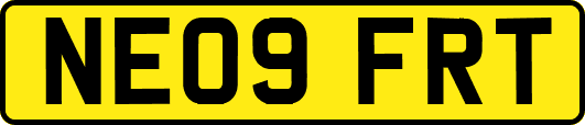 NE09FRT