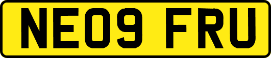 NE09FRU