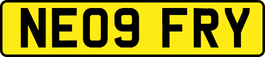 NE09FRY