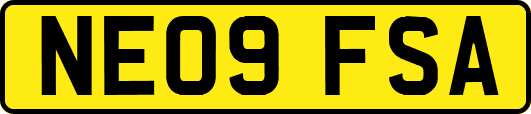 NE09FSA