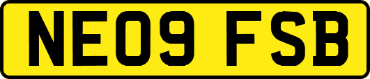 NE09FSB