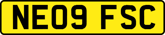 NE09FSC