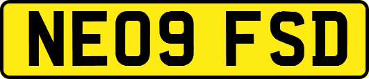 NE09FSD