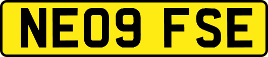 NE09FSE