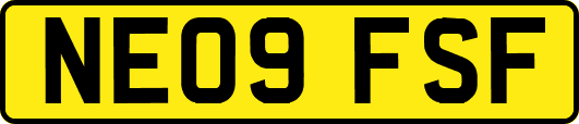 NE09FSF