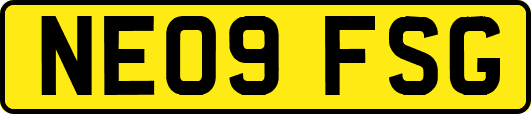 NE09FSG