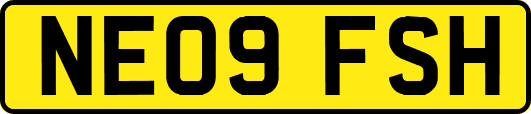 NE09FSH