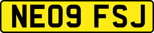 NE09FSJ