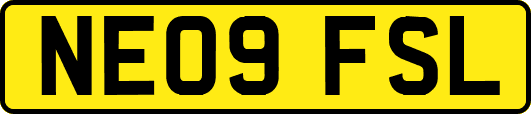 NE09FSL
