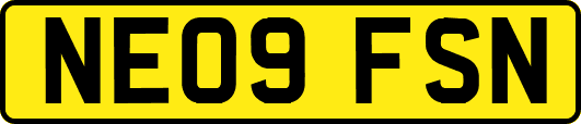 NE09FSN