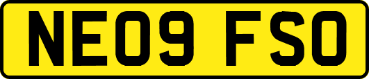NE09FSO
