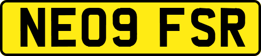 NE09FSR
