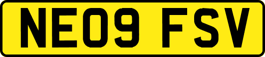 NE09FSV