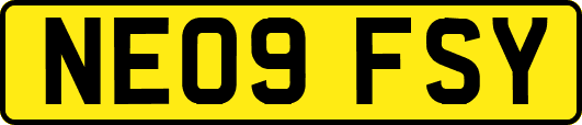 NE09FSY