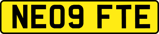 NE09FTE