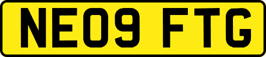 NE09FTG