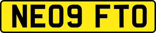 NE09FTO