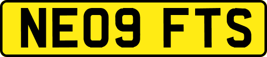 NE09FTS