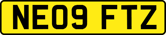 NE09FTZ