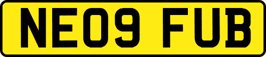 NE09FUB