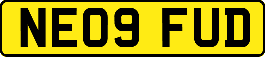 NE09FUD