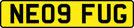 NE09FUG