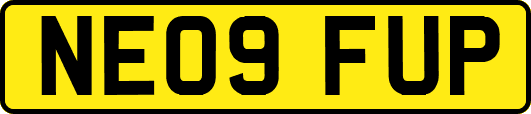 NE09FUP