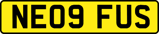 NE09FUS