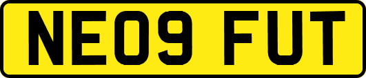 NE09FUT