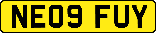NE09FUY