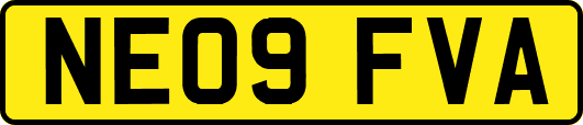 NE09FVA