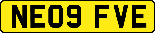 NE09FVE