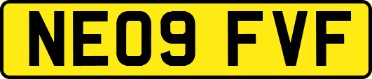 NE09FVF