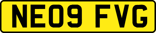 NE09FVG