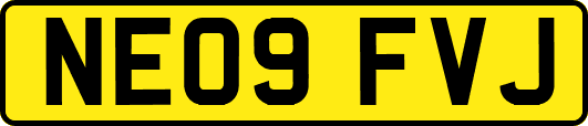 NE09FVJ