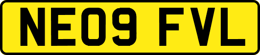 NE09FVL