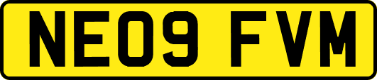 NE09FVM