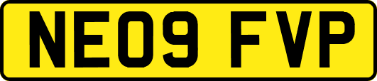 NE09FVP