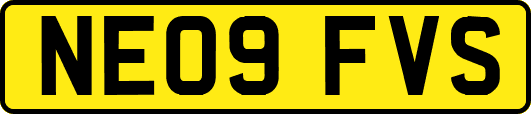 NE09FVS