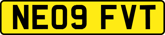 NE09FVT