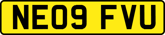 NE09FVU