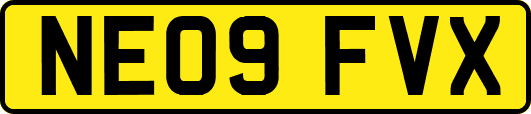 NE09FVX